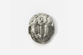 #635 - Trilobite Antiqued Pewter Pin