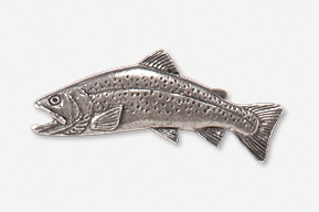 A silver fish pin on a white background.