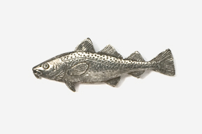 A fish is shown in this picture.