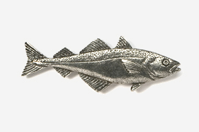 A fish is shown in this picture.