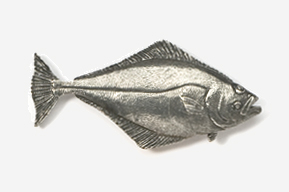 A silver fish is shown in this picture.