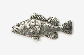 A fish is shown in this picture.