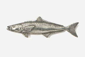 A fish is shown in this drawing.