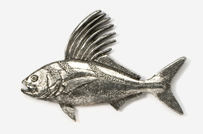 A silver fish with long fins and a tail.