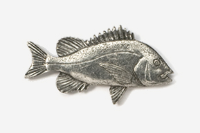 A silver fish is shown on the white background.