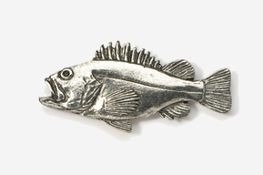 A silver fish is shown on the white background.