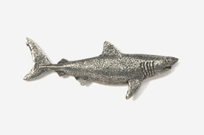 A metal shark is shown in this picture.