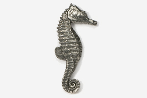 A silver seahorse is shown in this picture.