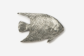 A silver fish is shown on the white background.