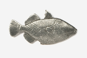 A silver fish is shown on the wall.