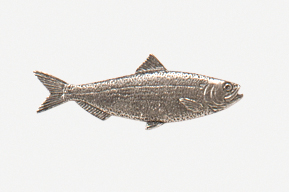 A fish is shown in this drawing.