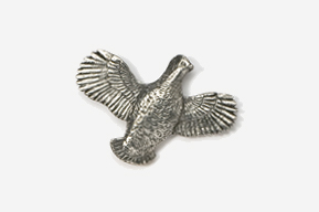 A silver bird with wings spread out.