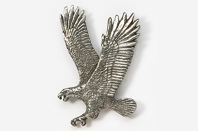 A silver eagle is flying in the air.