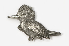 A silver bird with long beak and tail.