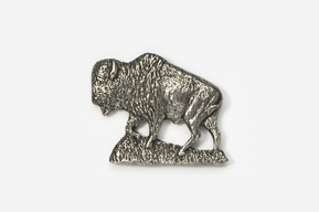 A silver buffalo is standing on the grass.