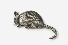 A silver armadillo is shown on the ground.