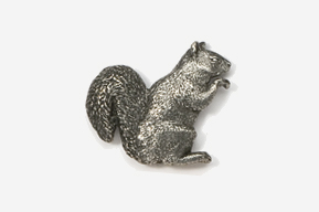 A silver squirrel is sitting on the ground.