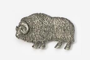 A silver animal is shown in this picture.