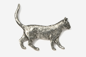 A silver cat is walking on the ground.