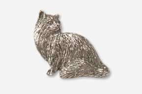 A silver cat sitting on the ground.