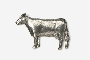 A silver cow is standing in front of the camera.