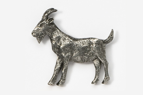 A silver goat is standing on the ground.