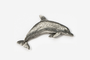 A silver dolphin is shown in this picture.