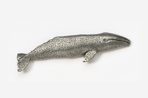 A silver whale is shown on the white background.