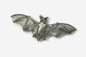 A bat is shown in this picture.