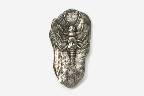 A silver bug on top of a rock.