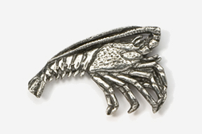 A silver crab brooch is shown in this picture.