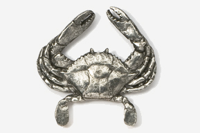 A crab is shown in this picture.