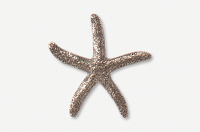 A star fish is shown in this picture.