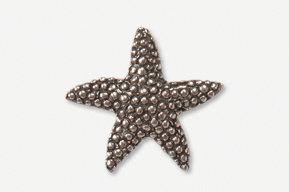 A silver star fish with a black background