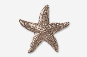 A star fish is shown in this picture.