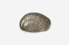 A silver object is shown on the ground.