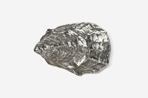 A silver object is shown on the ground.