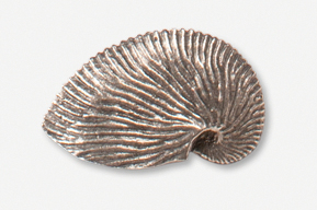 A silver shell shaped object with no background.