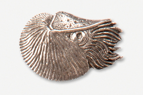 A silver brooch with an animal head on it.