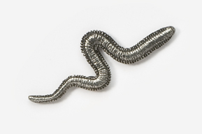 A close up of a worm on a white background