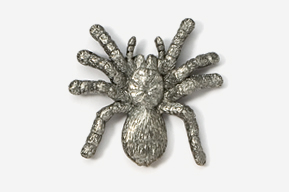 A silver spider is shown on the wall.