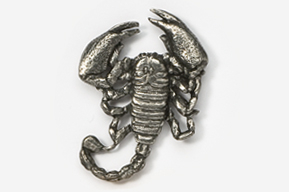 A silver scorpion is shown on the white background.