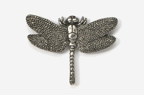 A silver dragonfly brooch with marcasites.