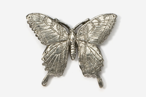 A silver butterfly is shown in this image.