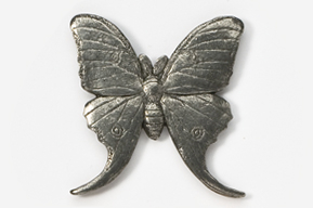 A silver butterfly is shown on the back of it.