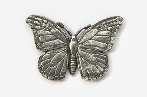 A silver butterfly is shown on the white background.