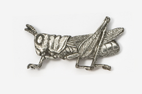 A silver grasshopper pin with a small leg.