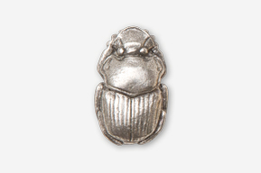 A silver beetle is shown in this picture.