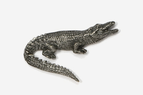 A silver alligator is sitting on the ground.