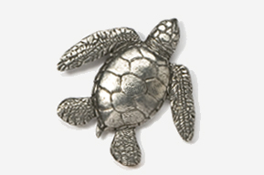 A silver turtle is shown in this picture.